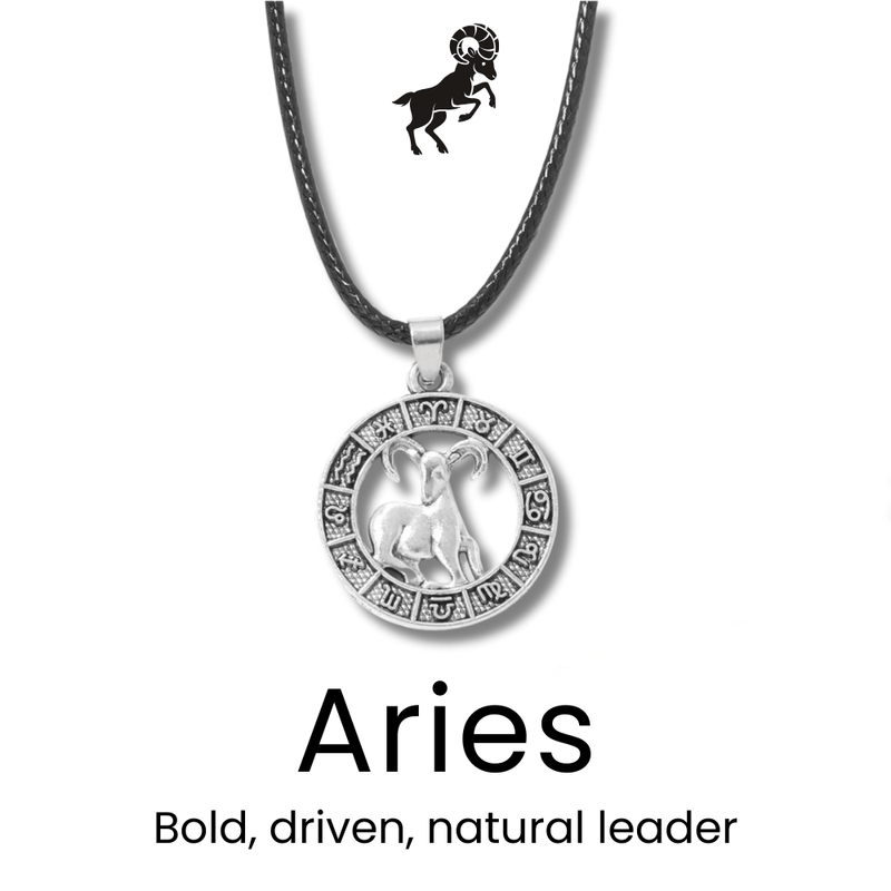 Zodiac Necklace for All Signs - Sphere Standouts