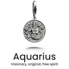 Vintage Sterling Zodiac Pendant in Silver / Aquarius — necklace for women