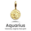 Vintage Sterling Zodiac Pendant in Gold / Aquarius — necklace for women