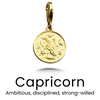 Vintage Sterling Zodiac Pendant in Gold / Capricorn — necklace for women