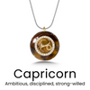 StarGem Stone Pendant in Capricorn — necklace for women