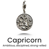 Vintage Sterling Zodiac Pendant in Silver / Capricorn — necklace for women
