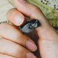 Adjustable Fish Ring - Sphere Standouts