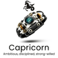 StarBorn Leather Zodiac Bracelet - Sphere Standouts