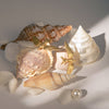 Swallow Grace Earrings - Sphere Standouts