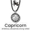 Zodiac Necklace for All Signs - Sphere Standouts