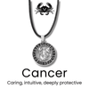 Zodiac Necklace for All Signs - Sphere Standouts