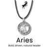 Zodiac Necklace for All Signs - Sphere Standouts